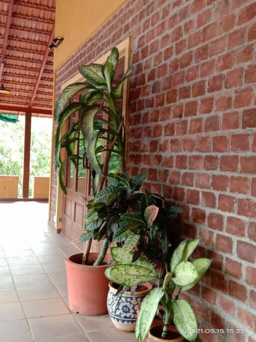 Sohana Eco Retreat Farmhouse - Karjat Chinchavli Εξωτερικό φωτογραφία