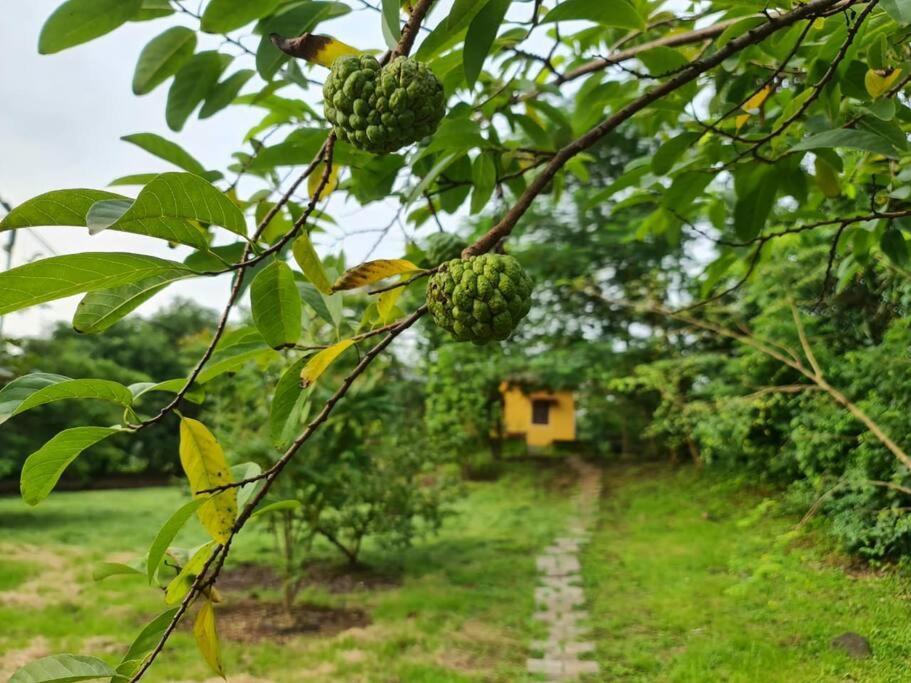 Sohana Eco Retreat Farmhouse - Karjat Chinchavli Εξωτερικό φωτογραφία