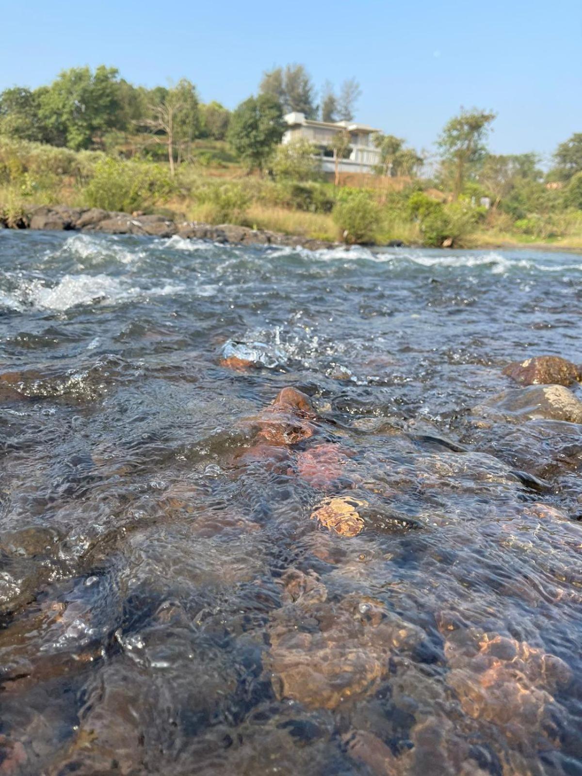 Sohana Eco Retreat Farmhouse - Karjat Chinchavli Δωμάτιο φωτογραφία